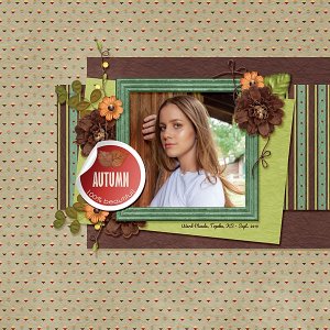 Fall Favorites