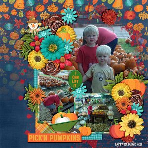 pickn-pumpkins-2018