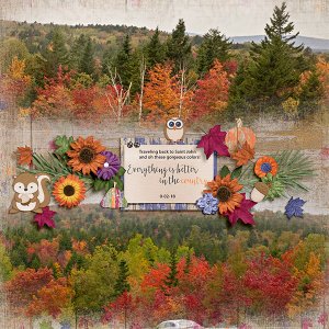 Fall in the Country