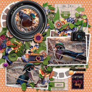 Shutterbug
