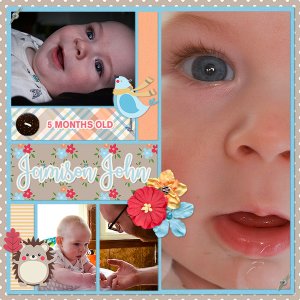 5 Months Old