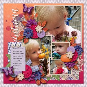 Autumn Flowers