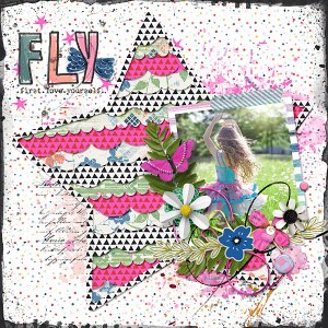 Fly