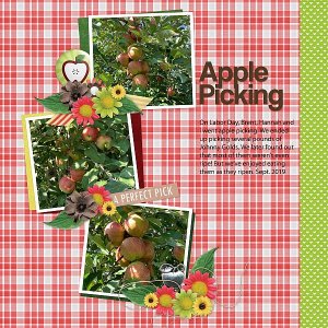 Apple Picking