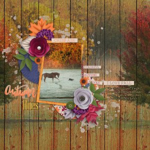 Autumn Hues