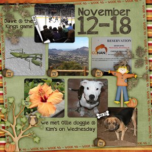 Lisa's Week Forty-Six
