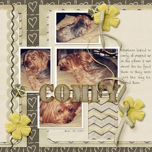 219-11-11-ComfyByCFALBRO
