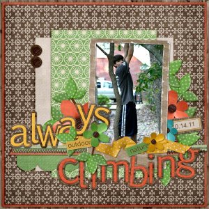 Always Climbing