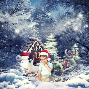 Santa's sled