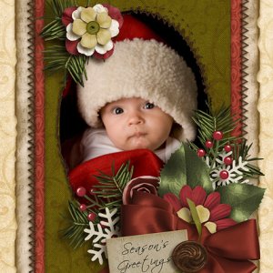 Christmas Card Collection 2