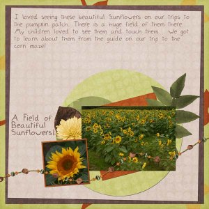A Field of Beautiful Sunflowers