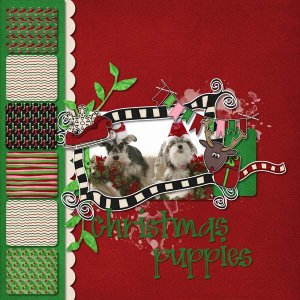 Christmas Puppies