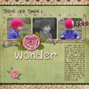 Wonder