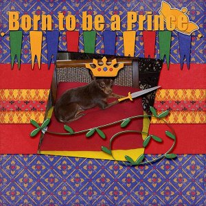 Born to be a Prince