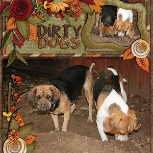 Dirty Dogs