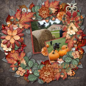 2019 DSD Special by LouCee Creations