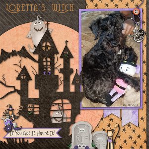 2019 DSD Special by LouCee Creations