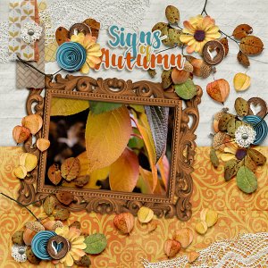 Signs Of Autumn