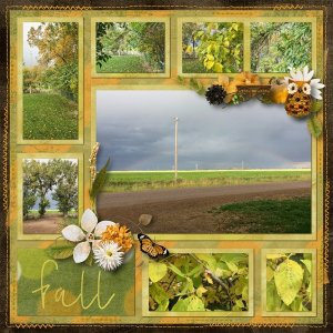Fall