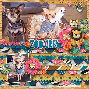 Zoo Crew