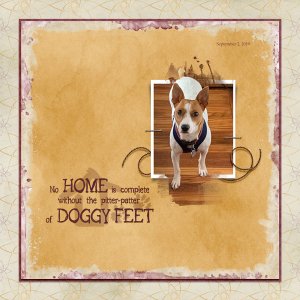 Doggy Feet