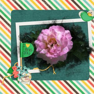 dsd-phptpmask-small