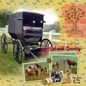 Amish Country