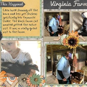 Down on The Farm