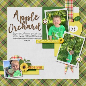 09_Cameron-picking-apples-web
