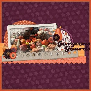 Gorgeous Gourds