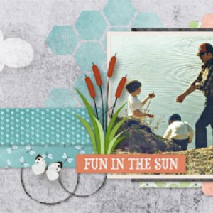Fun in the Sun FB Header