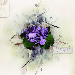 Violets