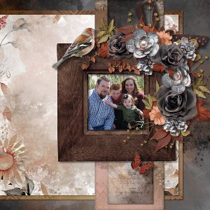 Birds of a Feather by Ilonka Designs