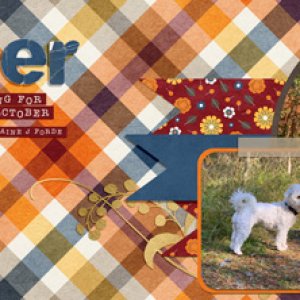 DSD-19 FB Timeline cover template challenge