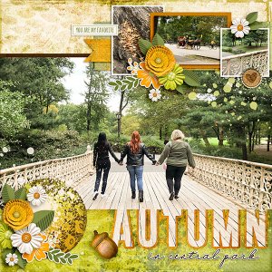 Autumn in Central Park
