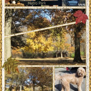 Blacklick Woods