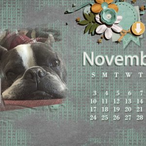 NOVEMBER