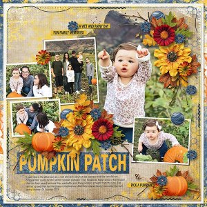 PUMPKIN PATCH