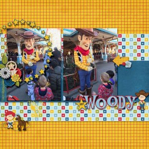 2-11-19woody_edited-1