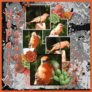 Hepatic_Tanager_small