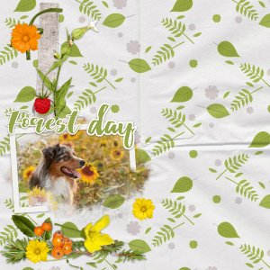 Forest_day
