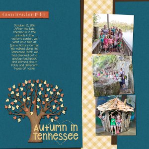 Autumn in TN
