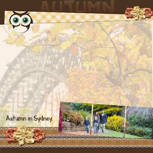 Autumn in Sydney