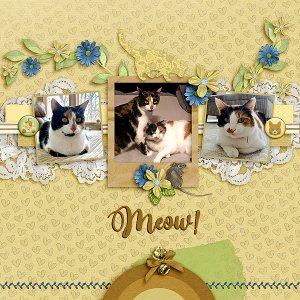 Meow