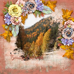 Beauty-of-autumn