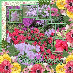 Colorful Spring