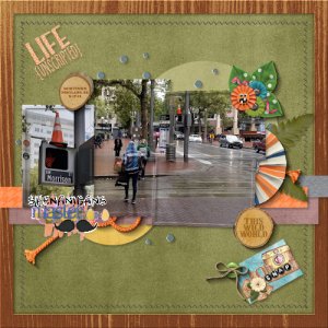 Portland Traffic Cone