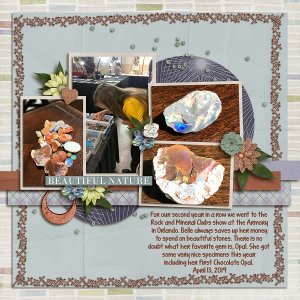 Rock and Mineral Show 19