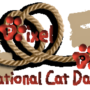 National Cat Day!