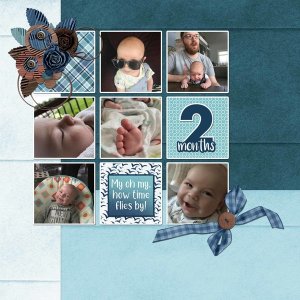 2 Months Old